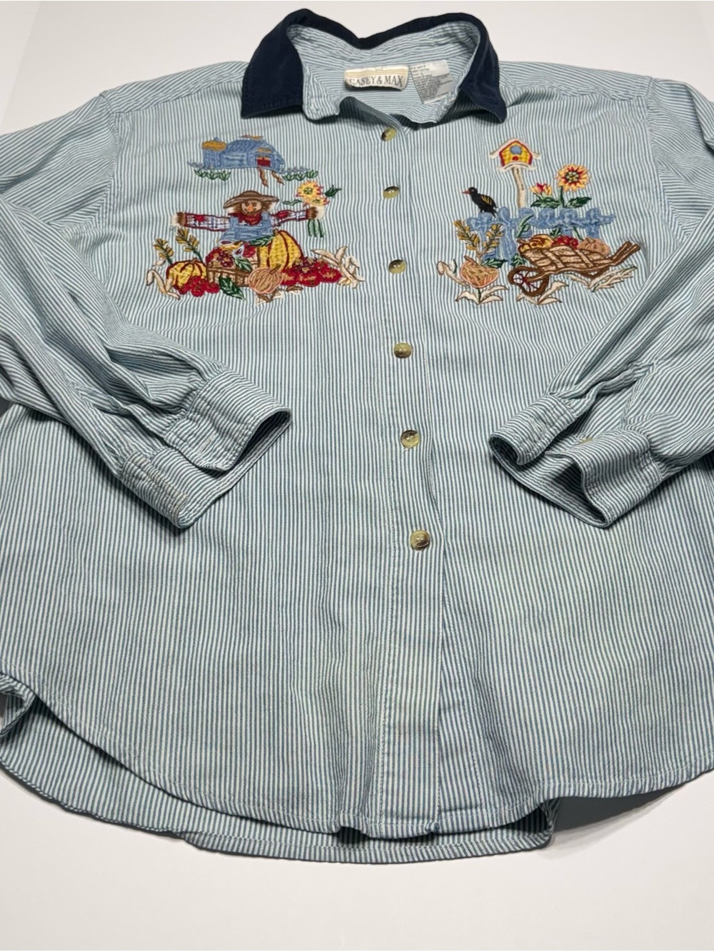 Casey & Max Light Blue Striped Embroidered Button-Down Shirt